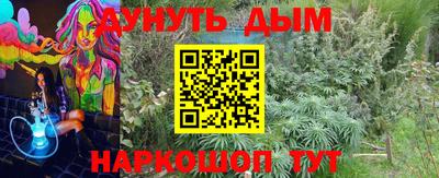 Альфа ПВП Нальчик
