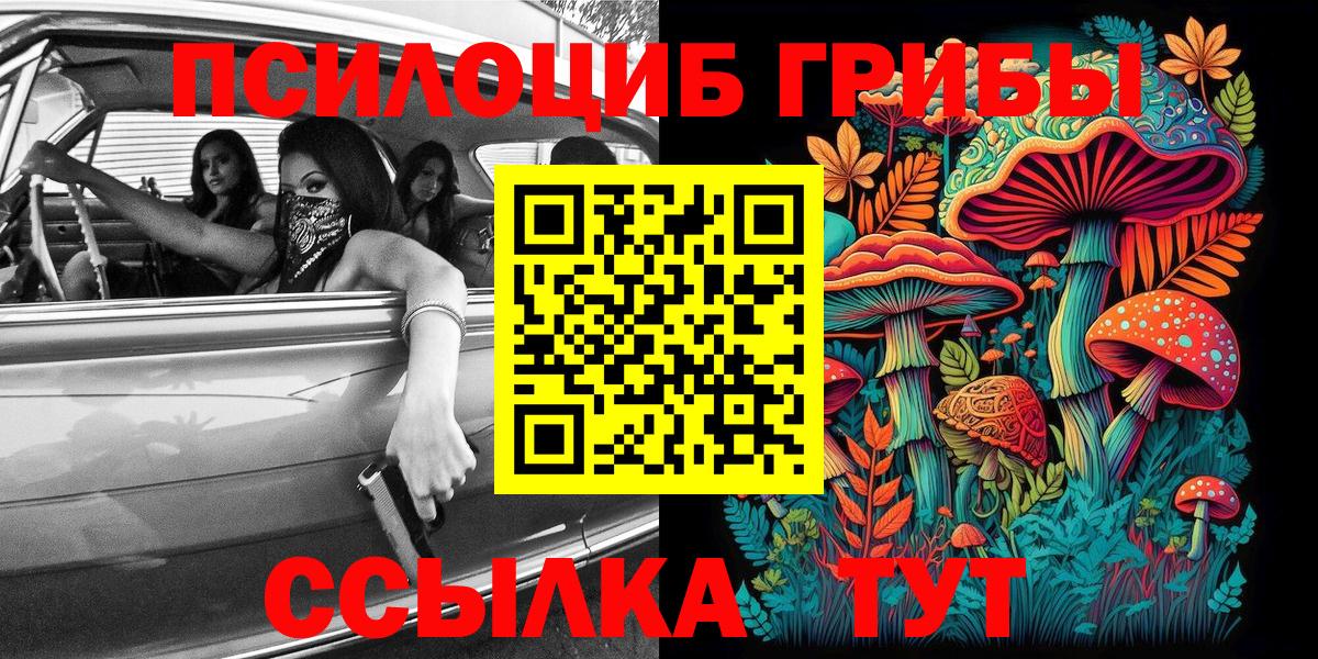 Псилоцибиновые грибы ЛСД  Псилоцибиновые грибы Psilocybe  Тобольск  что такое наркотик  Вход с VPN 